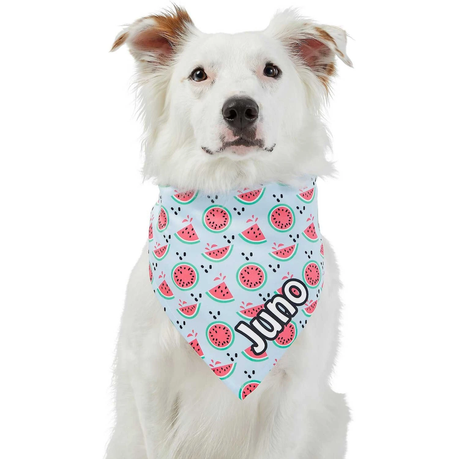 Frisco Watermelons Personalized Dog & Cat Bandana 9 Frisco Watermelons Personalized Dog & Cat Bandana - Image 7