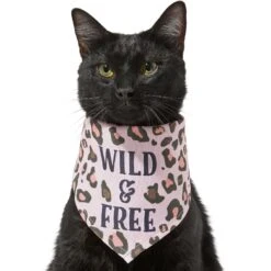Frisco Pink Leopard Dog & Cat Bandana 13 Frisco Pink Leopard Dog & Cat Bandana -Cat Supply Store 267922 PT3. AC SS1800 V1637687868