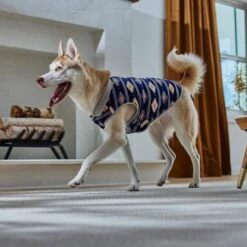 Frisco Lightweight Southwest Dog & Cat Polar Fleece Vest 15 Frisco Lightweight Southwest Dog & Cat Polar Fleece Vest -Cat Supply Store 268167 PT8. AC SS1800 V1629756292