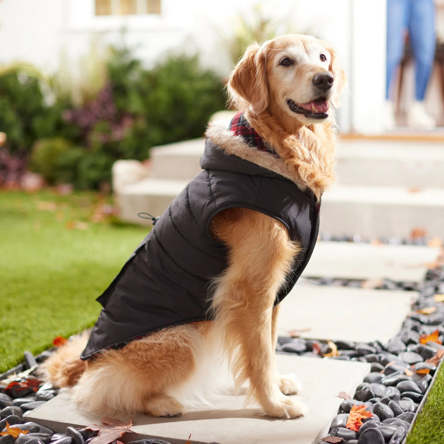 Frisco Mid-Heavyweight Cinching Insulated Dog & Cat Parka, Black/Red Plaid 9 Frisco Mid-Heavyweight Cinching Insulated Dog & Cat Parka, Black/Red Plaid - Image 7