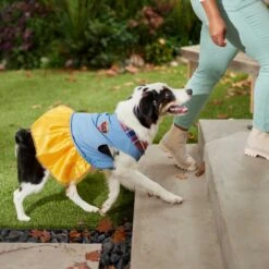 Frisco Chambray Plaid Dog & Cat Dress -Cat Supply Store 268637 PT6. AC SS1800 V1637730174