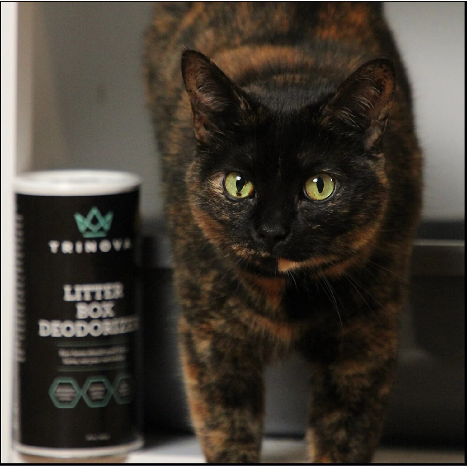 TriNova Natural Cat Litter Box Deodorizer 5 TriNova Natural Cat Litter Box Deodorizer - Image 3