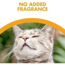 Feline Pine Platinum Natural Pine Cat Litter 15 Feline Pine Platinum Natural Pine Cat Litter -Cat Supply Store 272685 PT4. AC SS1800 V1663798048