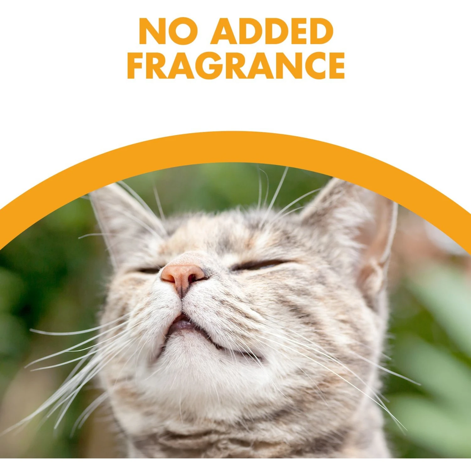 Feline Pine Platinum Natural Pine Cat Litter 7 Feline Pine Platinum Natural Pine Cat Litter - Image 5