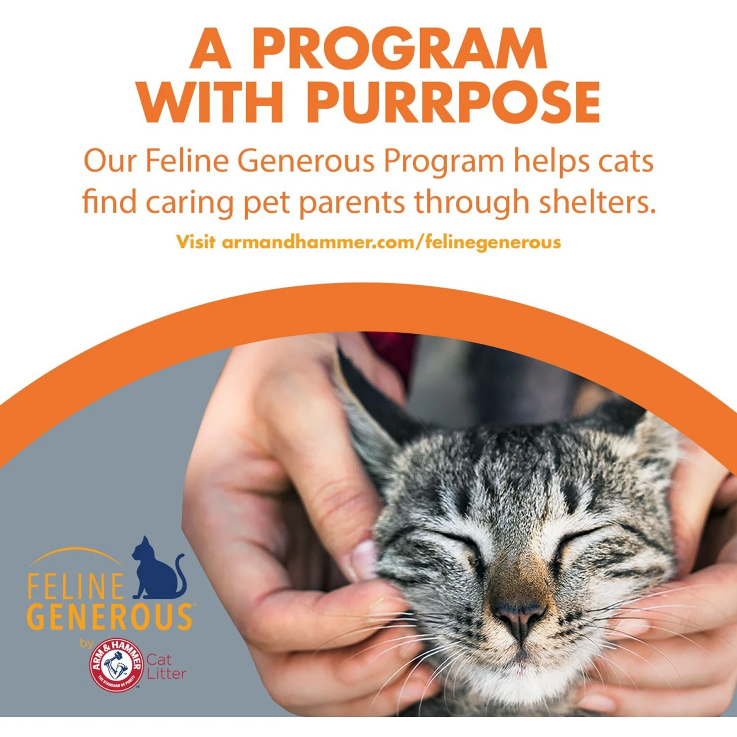 Feline Pine Platinum Natural Pine Cat Litter 11 Feline Pine Platinum Natural Pine Cat Litter - Image 9