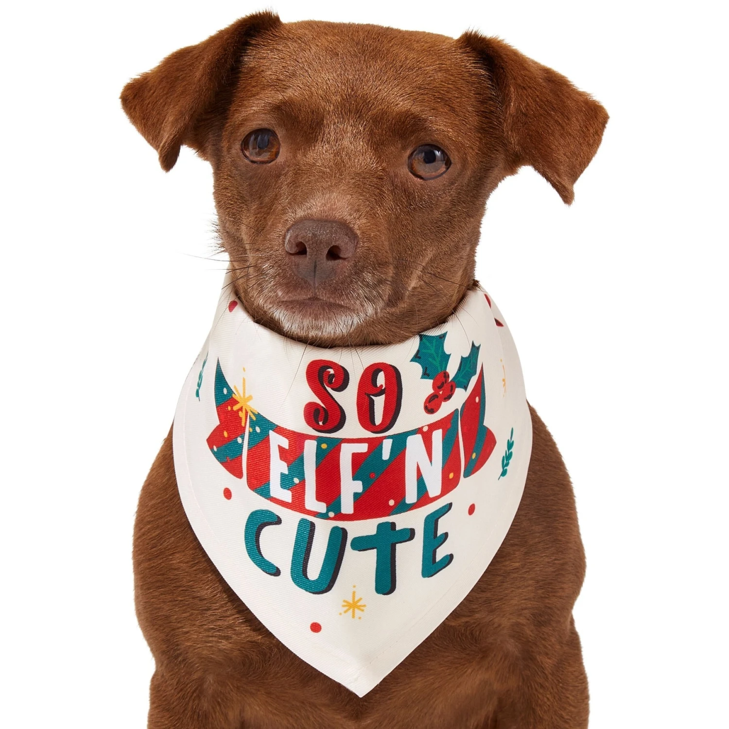 Frisco So Elf'n Cute Dog & Cat Bandana 5 Frisco So Elf'n Cute Dog & Cat Bandana - Image 3