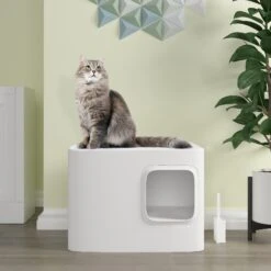 Meowy Studio Loo Enclosed Cat Litter Box Concealment 13 Meowy Studio Loo Enclosed Cat Litter Box Concealment -Cat Supply Store 280430 PT2. AC SS1800 V1623358054