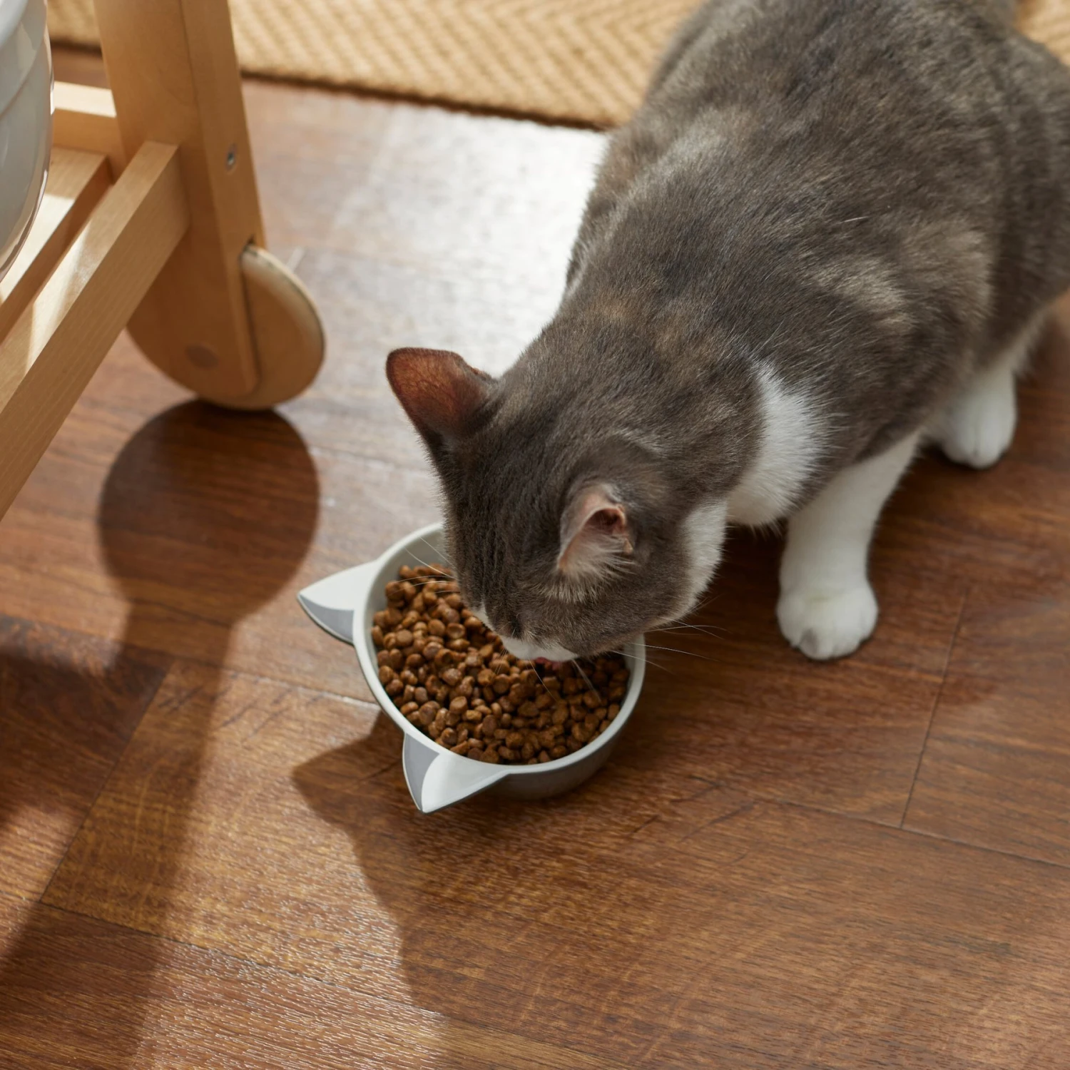 Disney Figaro No-Skid Ceramic Cat Bowl 5 Disney Figaro No-Skid Ceramic Cat Bowl - Image 3