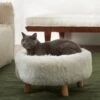 Frisco Eyelash Fur Round Elevated Cat Bed 1 Frisco Eyelash Fur Round Elevated Cat Bed -Cat Supply Store 285211 MAIN. AC SS1800 V1625009099