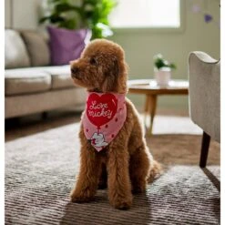 Disney Mickey Mouse "Love Mickey" Dog & Cat Bandana 14 Disney Mickey Mouse "Love Mickey" Dog & Cat Bandana -Cat Supply Store 290119 PT5. AC SS1800 V1637362002