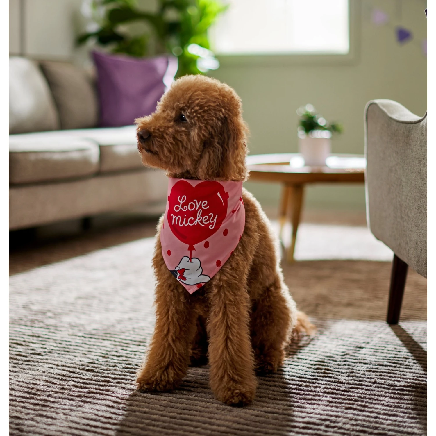 Disney Mickey Mouse "Love Mickey" Dog & Cat Bandana 8 Disney Mickey Mouse "Love Mickey" Dog & Cat Bandana - Image 6