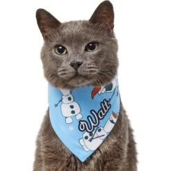 Disney Frozen's Olaf & Snow Personalized Dog & Cat Bandana -Cat Supply Store 290146 PT7. AC SS1800 V1625152400