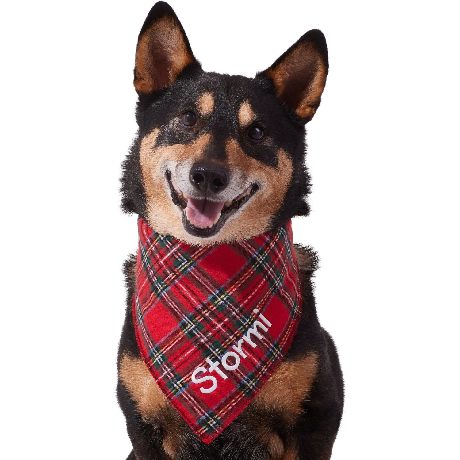 Frisco Tartan Plaid Embroidered Personalized Dog & Cat Bandana 8 Frisco Tartan Plaid Embroidered Personalized Dog & Cat Bandana - Image 6