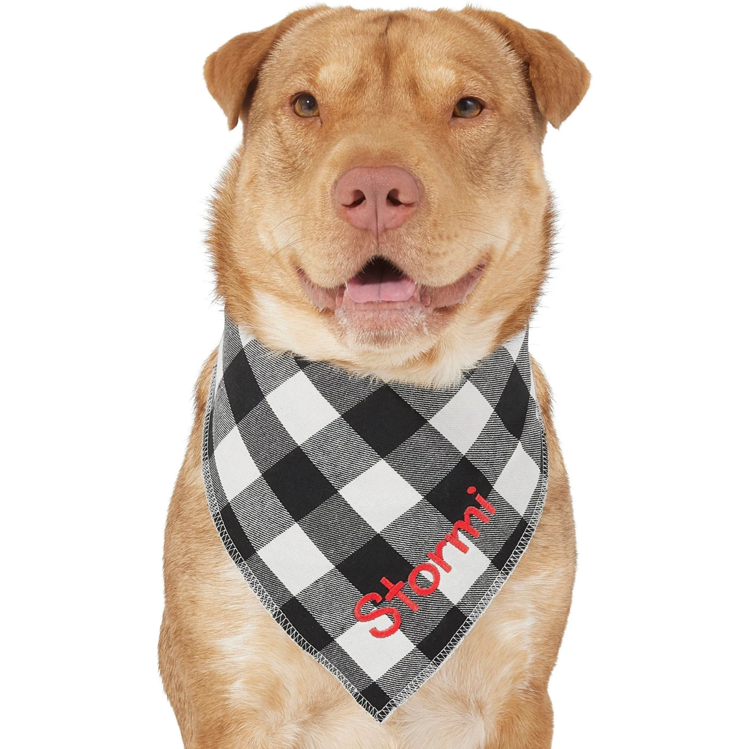 Frisco Buffalo Check Embroidered Personalized Dog & Cat Bandana 8 Frisco Buffalo Check Embroidered Personalized Dog & Cat Bandana - Image 6