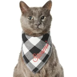 Frisco Buffalo Check Embroidered Personalized Dog & Cat Bandana 16 Frisco Buffalo Check Embroidered Personalized Dog & Cat Bandana -Cat Supply Store 301162 PT7. AC SS1800 V1628535983