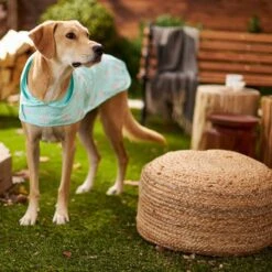 Frisco Lightweight Rainy Days Dog Raincoat & Frisco Lightweight Flamingo Dog Raincoat -Cat Supply Store 302828 PT7. AC SS1800 V1623064960