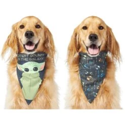 STAR WARS THE MANDALORIAN GROGU "Cutest Bounty" Reversible Dog & Cat Bandana & STAR WARS THE MANDALORIAN GROGU "Left Unsupervised" Dog & Cat T-Shirt 12 STAR WARS THE MANDALORIAN GROGU "Cutest Bounty" Reversible Dog & Cat Bandana & STAR WARS THE MANDALORIAN GROGU "Left Unsupervised" Dog & Cat T-Shirt -Cat Supply Store 303014 PT2. AC SS1800 V1632367833