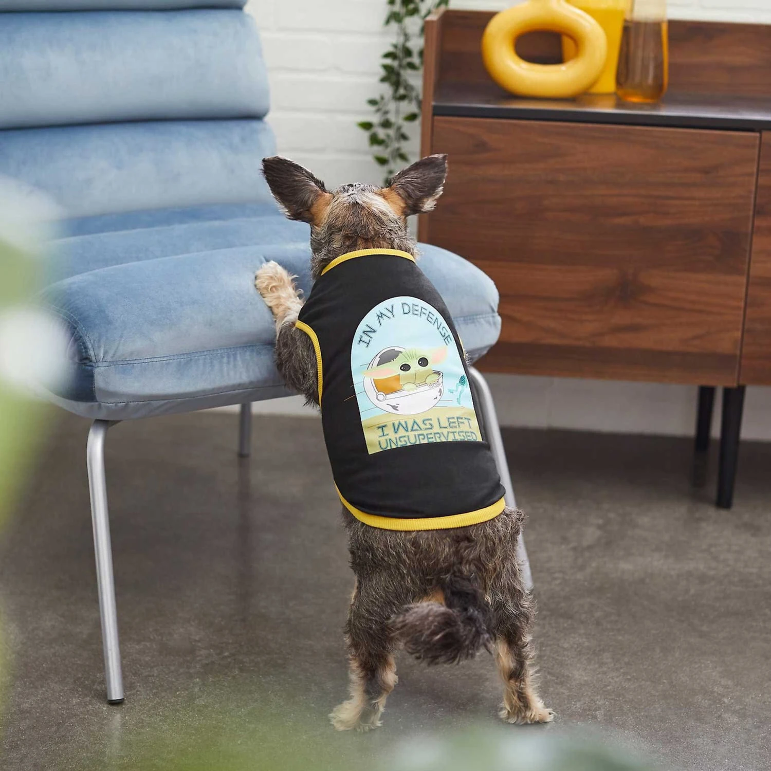 STAR WARS THE MANDALORIAN GROGU "Cutest Bounty" Reversible Dog & Cat Bandana & STAR WARS THE MANDALORIAN GROGU "Left Unsupervised" Dog & Cat T-Shirt 9 STAR WARS THE MANDALORIAN GROGU "Cutest Bounty" Reversible Dog & Cat Bandana & STAR WARS THE MANDALORIAN GROGU "Left Unsupervised" Dog & Cat T-Shirt - Image 7