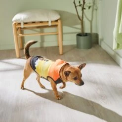 STAR WARS THE MANDALORIAN & GROGU Colorblock Dog & Cat Hoodie 15 STAR WARS THE MANDALORIAN & GROGU Colorblock Dog & Cat Hoodie -Cat Supply Store 311892 PT8. AC SS1800 V1643325712