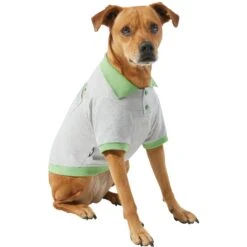 STAR WARS THE MANDALORIAN GROGU "Precious Cargo" Dog & Cat Polo