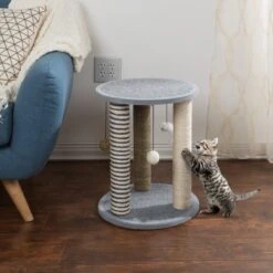 Pet Adobe 19.25-in Polyester Cat Scratching Post With Toys 12 Pet Adobe 19.25-in Polyester Cat Scratching Post With Toys -Cat Supply Store 314975 PT3. AC SS1800 V1626390432