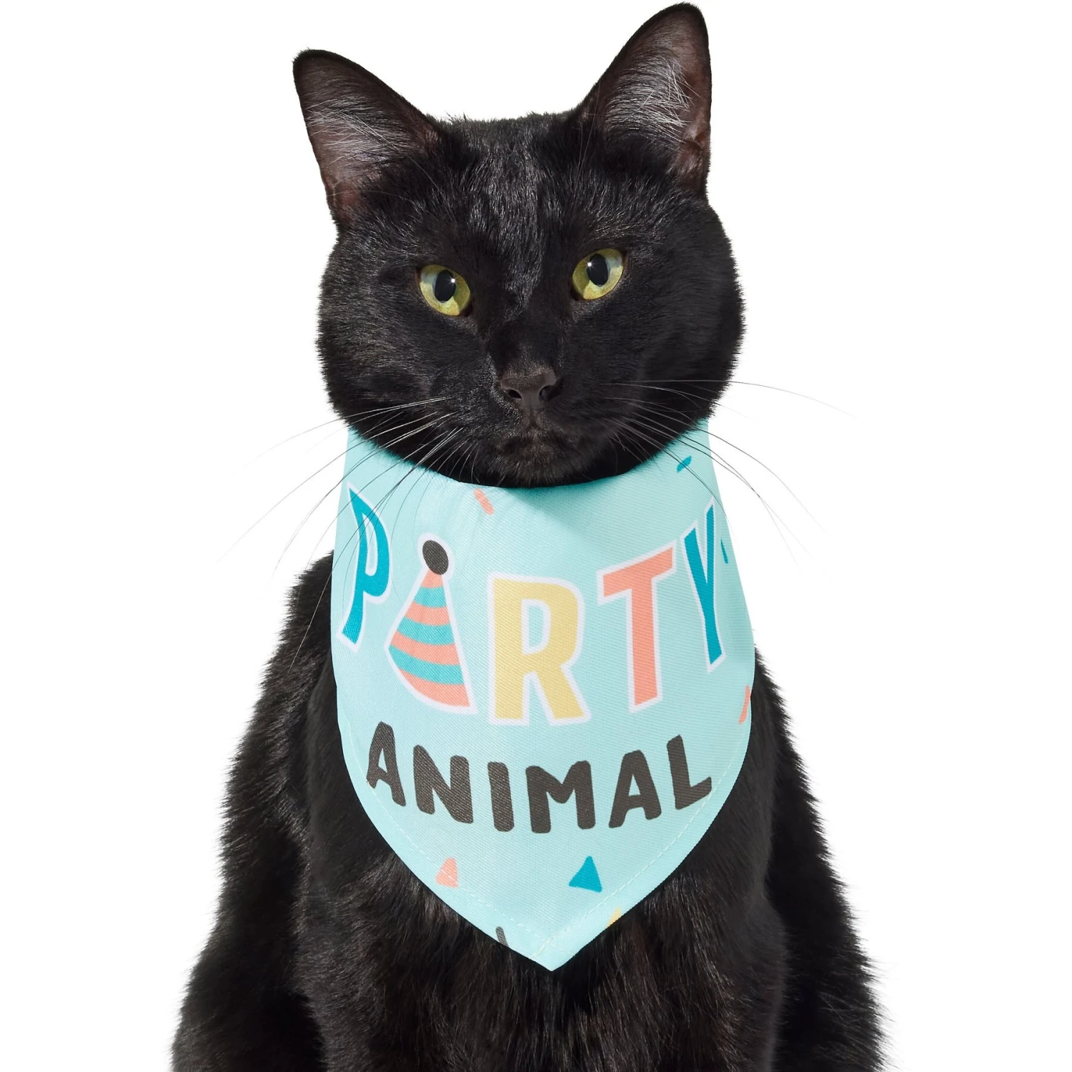Frisco Party Animal Dog & Cat Bandana 5 Frisco Party Animal Dog & Cat Bandana - Image 3