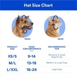 Disney Mickey Mouse Birthday Dog & Cat Hat -Cat Supply Store 316077 PT1. AC SS1800 V1697413418