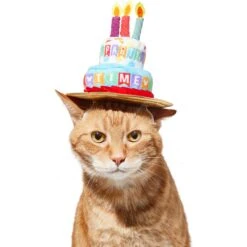 Disney Mickey Mouse Birthday Dog & Cat Hat -Cat Supply Store 316077 PT3. AC SS1800 V1646181348