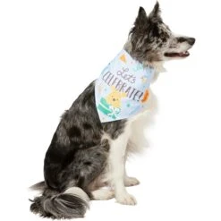 Disney Winnie The Pooh Birthday Dog & Cat Bandana