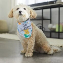 Disney Winnie The Pooh Birthday Dog & Cat Bandana 15 Disney Winnie The Pooh Birthday Dog & Cat Bandana -Cat Supply Store 316080 PT8. AC SS1800 V1646180621