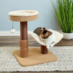 Two By Two The Yaupon 21.5-in Cat Tree & Lounger, Beige 13 Two By Two The Yaupon 21.5-in Cat Tree & Lounger, Beige -Cat Supply Store 316950 PT3. AC SS1800 V1642649525