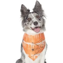Cat Supply Store 11 Frisco Orange Spiderweb Dog & Cat Costume Bandana