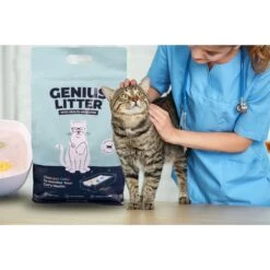 Alpha Paw Genius Litter With Health Indicator Cat Litter, 6-lbs -Cat Supply Store 344555 PT2. AC SS1800 V1667331285