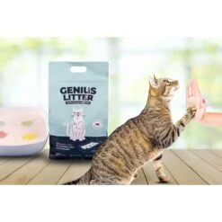 Alpha Paw Genius Litter With Health Indicator Cat Litter, 6-lbs -Cat Supply Store 344555 PT7. AC SS1800 V1667331826