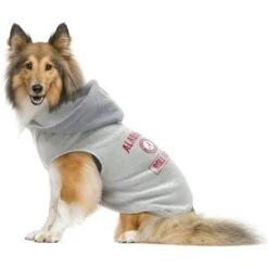 Littlearth NCAA Dog & Cat Hooded Crewneck Sweater 8 Littlearth NCAA Dog & Cat Hooded Crewneck Sweater -Cat Supply Store 350080 PT2. AC SS1800 V1641428833
