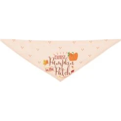 Frisco Cutest Pumpkin In The Patch Dog & Cat Bandana 15 Frisco Cutest Pumpkin In The Patch Dog & Cat Bandana -Cat Supply Store 353777 PT5. AC SS1800 V1659725687