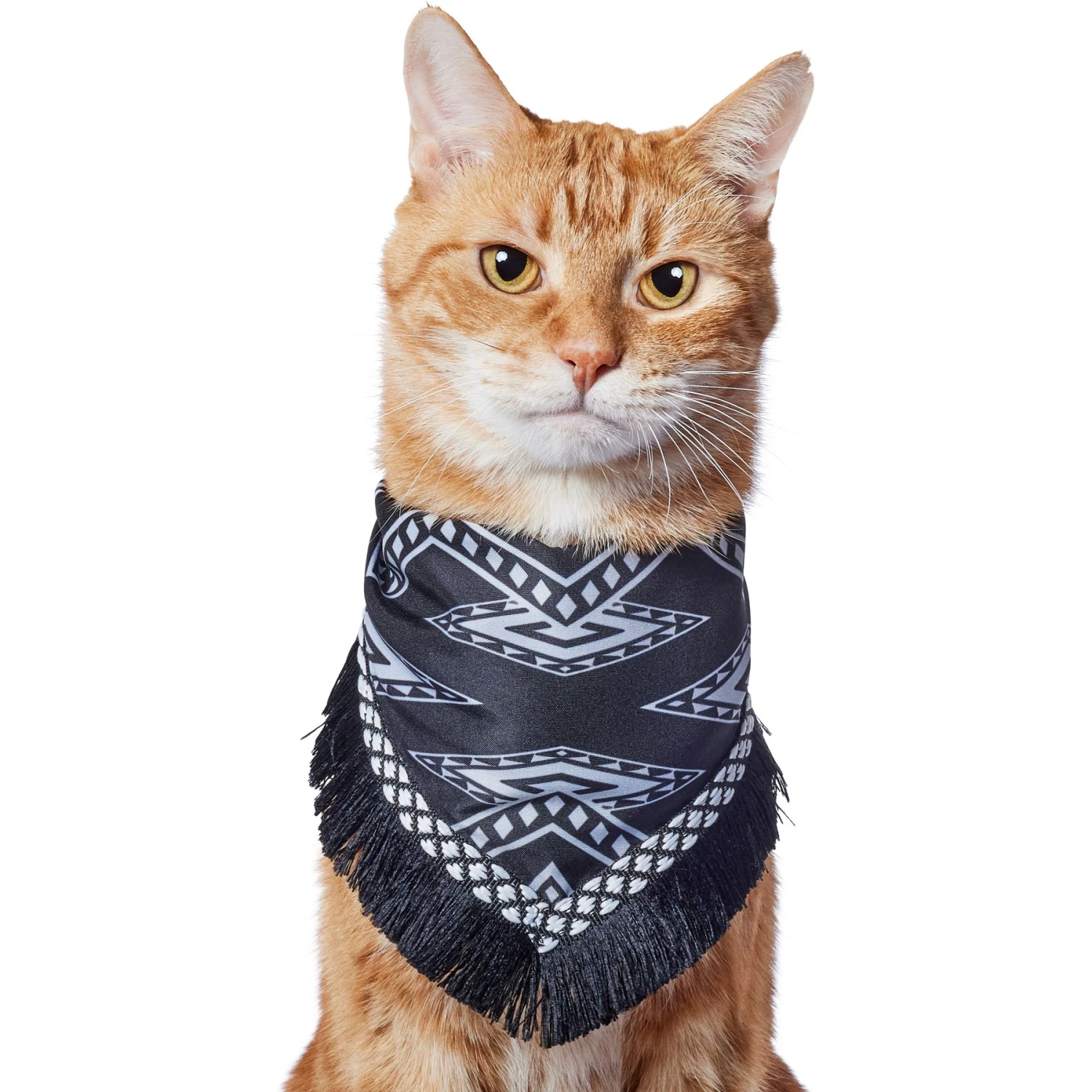 Frisco Southwest Fringe Dog & Cat Bandana 3 Frisco Southwest Fringe Dog & Cat Bandana