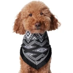 Frisco Southwest Fringe Dog & Cat Bandana 12 Frisco Southwest Fringe Dog & Cat Bandana -Cat Supply Store 353783 PT2. AC SS1800 V1659007315