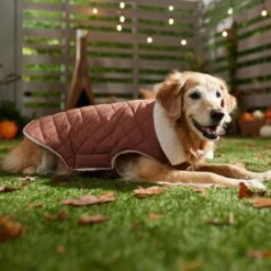 Frisco Mid-Heavyweight Fleece Lined Quilted Dog & Cat Coat 16 Frisco Mid-Heavyweight Fleece Lined Quilted Dog & Cat Coat -Cat Supply Store 353877 PT7. AC SS1800 V1660750171