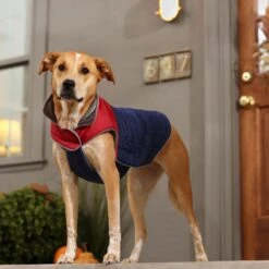 Frisco Mediumweight Cubed Dog & Cat Coat 16 Frisco Mediumweight Cubed Dog & Cat Coat -Cat Supply Store 353917 PT7. AC SS1800 V1660750073