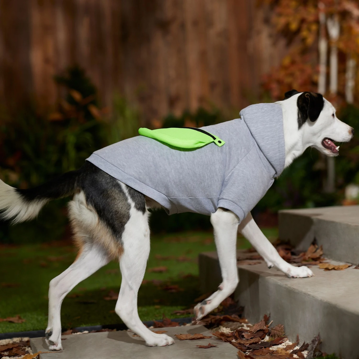 Frisco Dog & Cat Hoodie With Removable Fanny Pack 9 Frisco Dog & Cat Hoodie With Removable Fanny Pack - Image 8