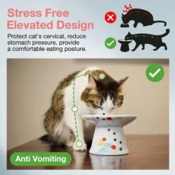 Necoichi Extra Wide Raised Cat Food Bowl 9 Necoichi Extra Wide Raised Cat Food Bowl -Cat Supply Store 357119 PT1. AC SS1800 V1657657126