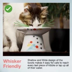 Necoichi Extra Wide Raised Cat Food Bowl 10 Necoichi Extra Wide Raised Cat Food Bowl -Cat Supply Store 357119 PT2. AC SS1800 V1657657126