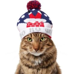Frisco Ho Ho Ho Dog & Cat Hat -Cat Supply Store 358475 PT2. AC SS1800 V1660759400
