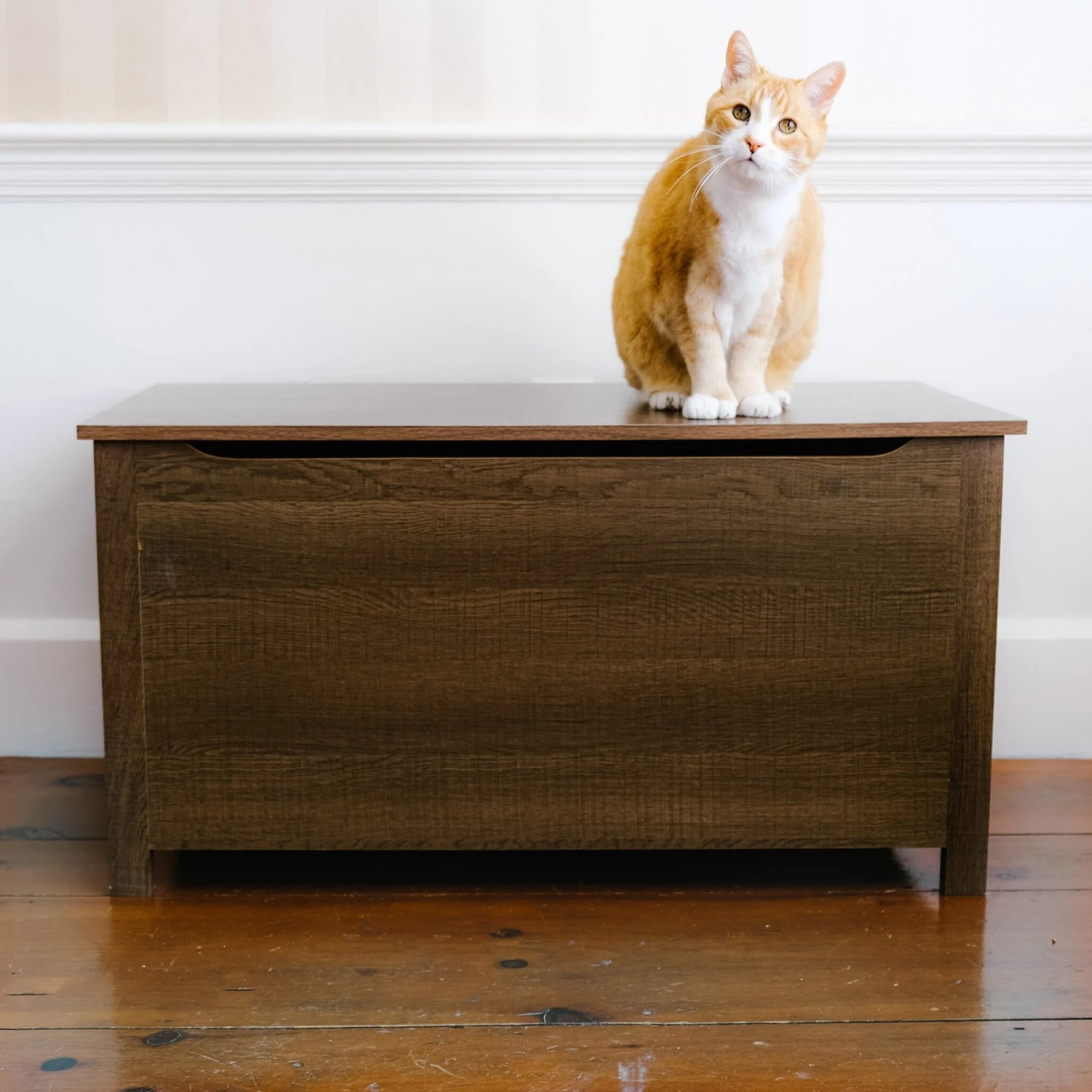 Designer Pet Products Parker Designer Wood Catbox Furniture Litter Box Enclosure, 36-in 8 Designer Pet Products Parker Designer Wood Catbox Furniture Litter Box Enclosure, 36-in - Image 6