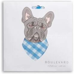 Boulevard Personalized Remy Gingham Dog Bandana -Cat Supply Store 370168 PT2. AC SS1800 V1649374631