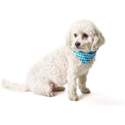 Boulevard Personalized Remy Gingham Dog Bandana -Cat Supply Store 370168 PT6. AC SS1800 V1649369216
