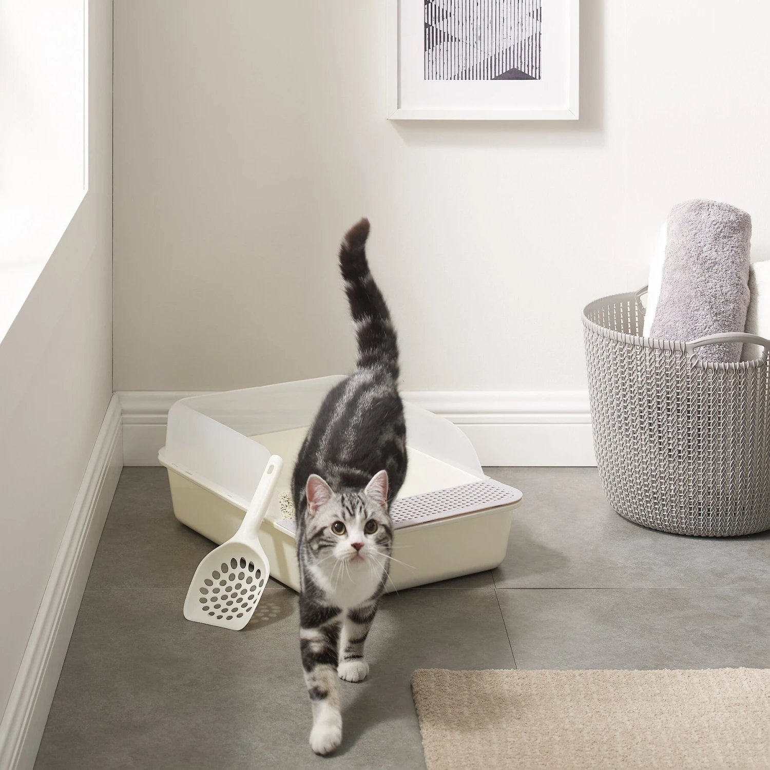 Sam's Pets Helix Cat Litter Box, White 4 Sam's Pets Helix Cat Litter Box, White - Image 2