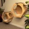 Armarkat Real Wood Cat Wall Additions, Natural Beige, 2 Count 1 Armarkat Real Wood Cat Wall Additions, Natural Beige, 2 Count -Cat Supply Store 515630 MAIN. AC SS1800 V1649344442