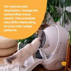 Litter-Robot 3 Cat Litter Box Carbon Filters, 6 Count 12 Litter-Robot 3 Cat Litter Box Carbon Filters, 6 Count -Cat Supply Store 535294 PT3. AC SS1800 V1651159029
